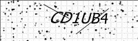 captcha-image