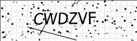 captcha-image