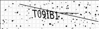 captcha-image