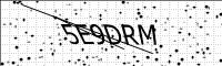 captcha-image