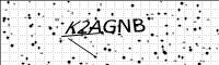 captcha-image