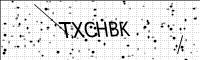 captcha-image