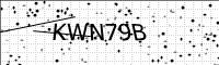 captcha-image