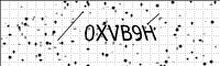 captcha-image