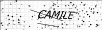 captcha-image
