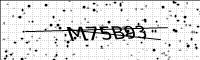 captcha-image