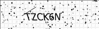 captcha-image