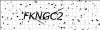 captcha-image