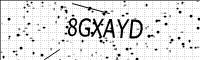 captcha-image
