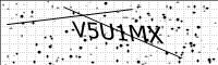 captcha-image
