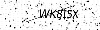 captcha-image