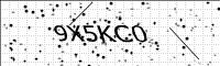 captcha-image