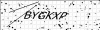 captcha-image
