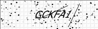 captcha-image