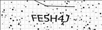 captcha-image