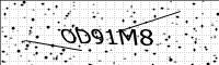 captcha-image