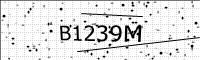 captcha-image