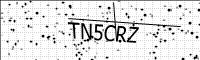 captcha-image