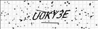 captcha-image