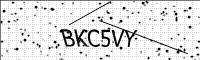 captcha-image