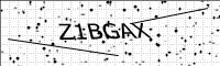 captcha-image