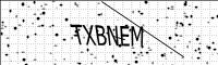 captcha-image
