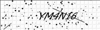 captcha-image