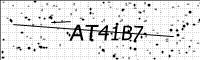 captcha-image