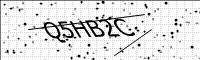 captcha-image