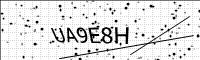 captcha-image