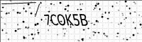 captcha-image