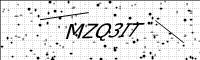 captcha-image