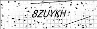 captcha-image