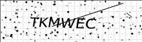 captcha-image