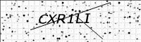 captcha-image
