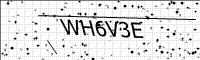 captcha-image