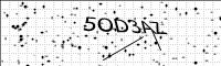 captcha-image