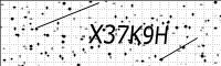 captcha-image