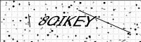 captcha-image