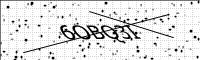 captcha-image