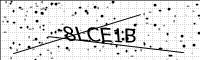captcha-image