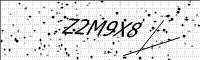 captcha-image