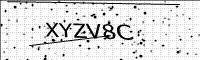 captcha-image