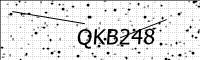 captcha-image