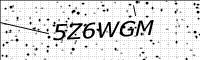 captcha-image