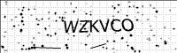 captcha-image