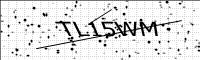 captcha-image
