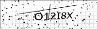 captcha-image