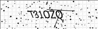 captcha-image