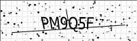 captcha-image